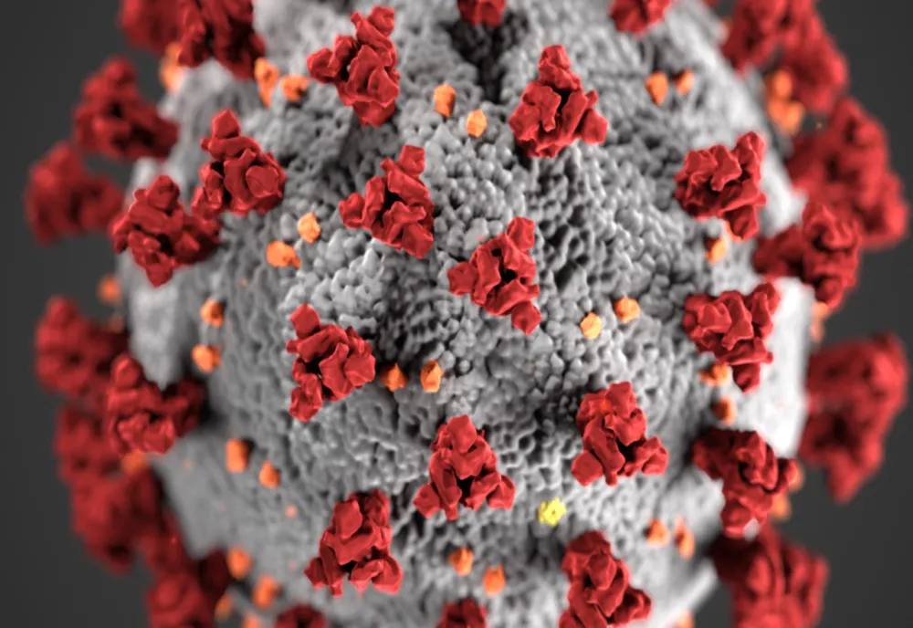 Bilanț coronavirus: 31.776 cazuri noi de persoane infectate cu SARS – CoV – 2