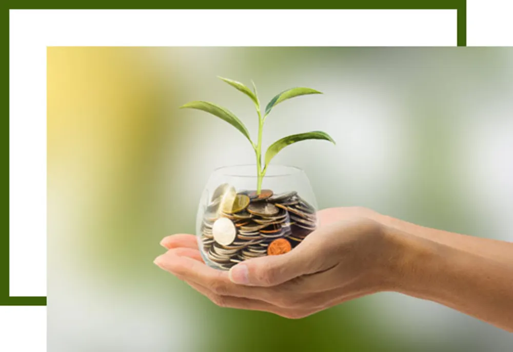 Regulile de protecţie a consumatorilor în domeniul serviciilor financiare