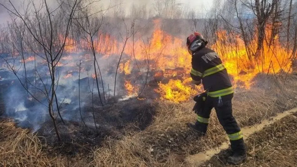 Pompierii continuă intervențiile pentru stingerea incendiului din Parcul Național Domogled
