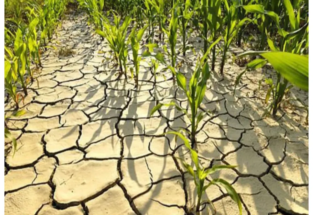 Europa de Vest, lovită de temperaturi record, secetă și incendii. Vara lui 2026 împinge din nou limitele climatice