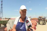 Drama fermierilor români: un kilogram de cartofi se vinde cu doar 30 de bani: „Prețul carburanților ne distruge!”