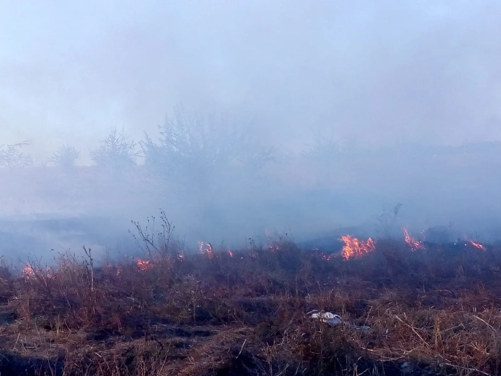 Incendii de vegetatie Belgia