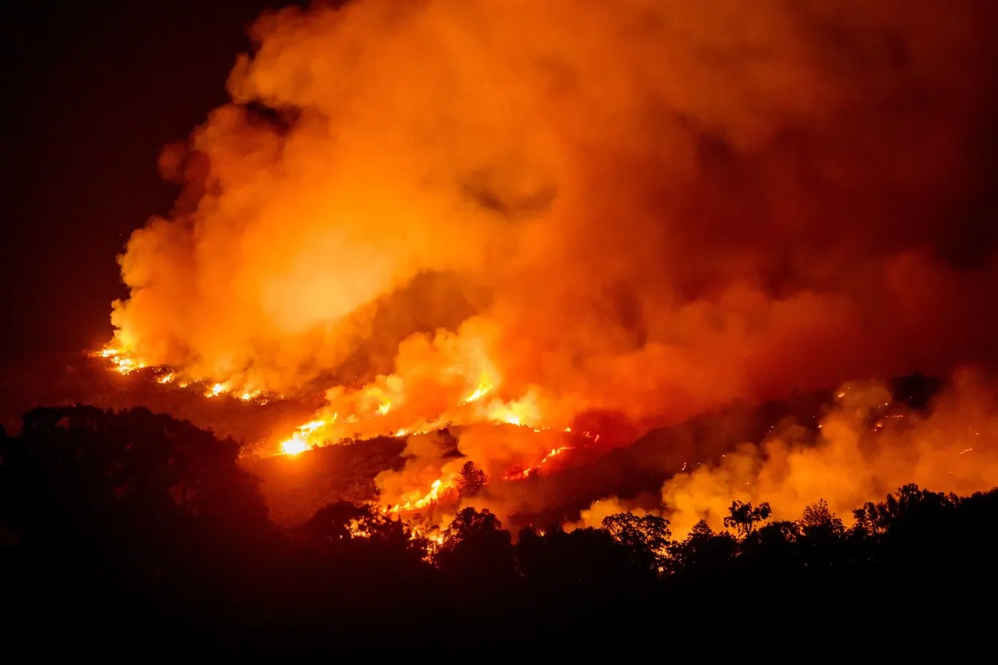 Incendii în vestul țării