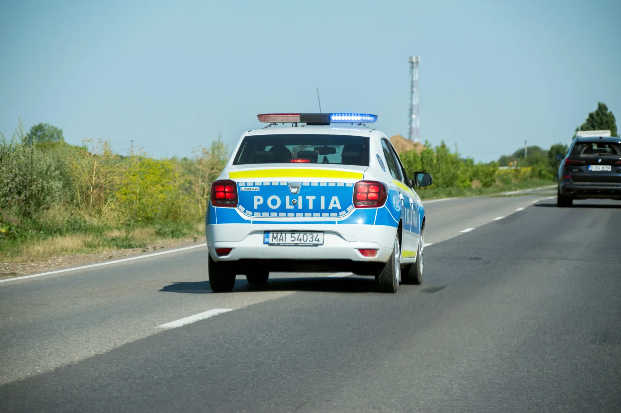 Poliție/ Profimedia 