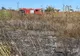 Îngrijorător! Peste 100 incendii de vegetație au avut loc într-o singură zi la noi în țară