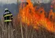 Studiu îngrijorător: Incendiile de pădure s-au dublat în lume, față de începutul secolului