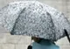 ANM: Informare meteo de ploi și ninsori, până vineri dimineața