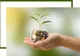 Regulile de protecţie a consumatorilor în domeniul serviciilor financiare