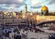 PESTE 100 DE ORGANIZAȚII CER ISRAELULUI SĂ OPREASCĂ „TRANSFORMAREA AJUTORULUI UMANITAR ÎNTR-O ARMĂ” ÎN GAZA