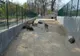 BILETE MAI SCUMPE LA GRĂDINA ZOO BĂNEASA: TARIFELE PROPUSE DE PRIMĂRIA CAPITALEI