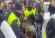 Stegarul dac, săltat de polițiști și jandarmi și băgat în mașina de poliție VIDEO