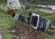 Un camion cu oi s-a răsturnat în Năvodari: peste 160 de animale au murit în urma impactului. Șoferul a scăpat nevătămat