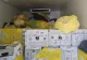 Garda de Mediu a amendat cu 30.000 de lei un transport necorespunzător de deșeuri medicale periculoase în București